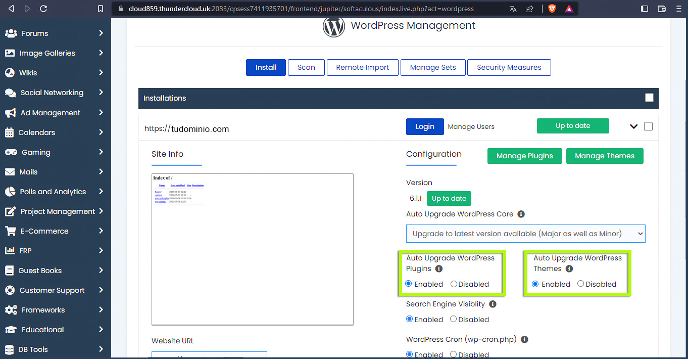 Administrador de WordPress: actualización de complementos o temas