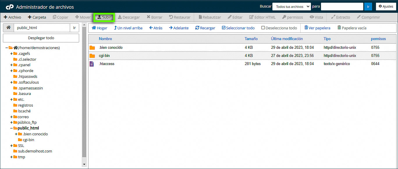Administrador de archivos_Cargar
