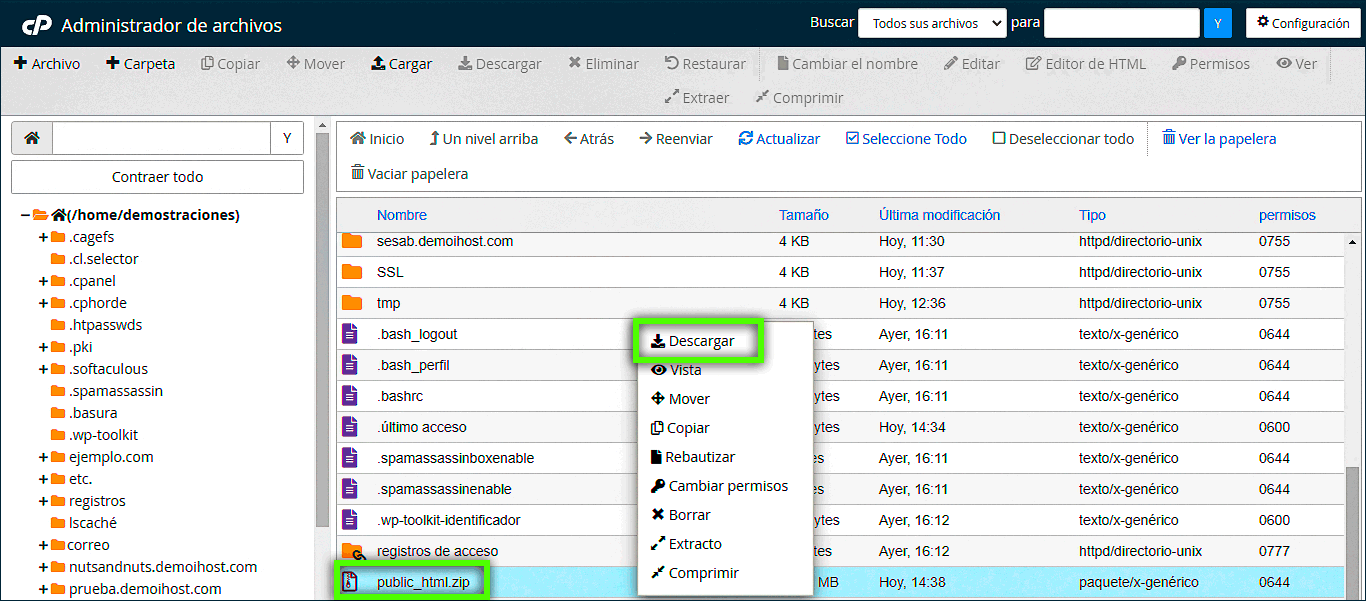 Descargar-el-archivo-Zip